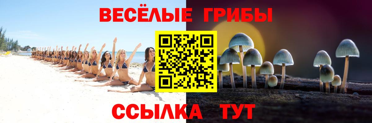 Галлюциногенные грибы MAGIC MUSHROOMS Асбест